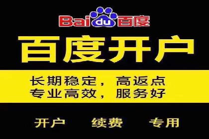 案例分析：百度SEM推广助力企业快速突破
